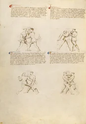Fiore dei Liberi